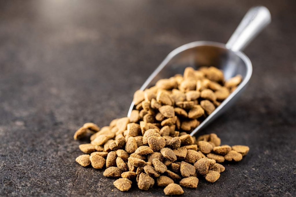 Dog Food Stockist Christchurch