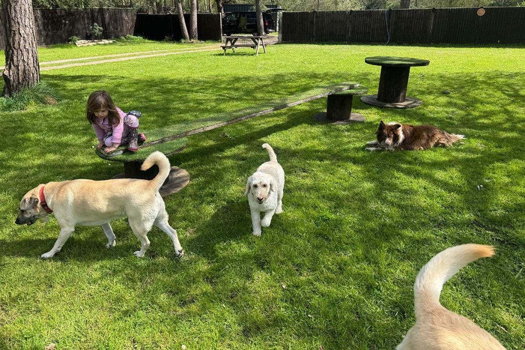 Private Dog Playpark
